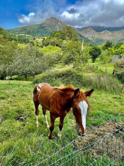 Вилла La Coqueta Del Sueve Арриондас Экстерьер фото